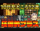 10月見どころ12選【オンラインcasino/オンラインカジノ】