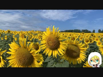 山姥切国広の北海道プチ遠征season2-3