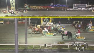 2021年11月14日帯広競馬12R OP-2 ミスタカシマ
