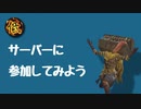 【ディスコード】ソウルシリーズ低レベルサーバーのご案内