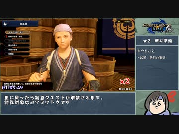 【MHRise】ナルハタタヒメ撃退RTA チャージアックスチャート　09:28:28_Part2