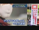 世界同日デモ プロモーションビデオ、英語字幕入り