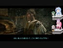 自由気ままにドラゴンズドグマをプレイ　１１