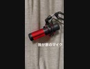 【 #フクロモモンガ 】部屋散歩で登ったり降りたり！【 #おはモモンガ 】【簡易編集版】【 #shorts 】