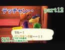 あつまれ　どうぶつの森を今更マイペースに実況プレイ　part12