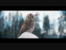 Astrid S - Når Snøen Smelter