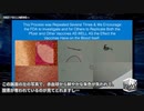 ★衝撃映像−1：血液にファイザー薬液　落としたらすごいことが起きた(水曜日のニコ生でこの研究者にインタビューするよ！) 続編あり！