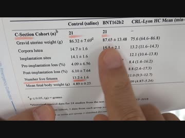 ［再］ファイザーワクチンの妊娠に関する動物実験