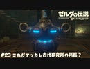 これが所長か～【ゼルダの伝説BotW】 #23