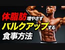 【リーンバルク】体脂肪をつけずにバルクアップするための食事量【ビーレジェンド プロテイン】