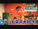 【あつまれ どうぶつの森 ハッピーホームパラダイス実況】別荘？？OK！任せて！（デジャネイロのフィットネス大好き！完成編）