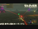 地下に潜むガーディアンの群れ【ゼルダの伝説BotW】 #25