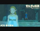 姫の苦悩【ゼルダの伝説BotW】 #26