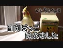 羽毛天日干しも25年目です！