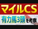 【マイルチャンピオンシップ】グランアレグリアとシュネルマイスターを撃破するのは「あの馬」だ！！【マイルCS予想2021】