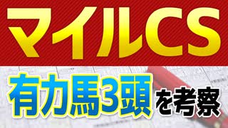 【マイルチャンピオンシップ】グランアレグリアとシュネルマイスターを撃破するのは「あの馬」だ！！【マイルCS予想2021】