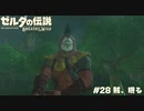 賊、現る【ゼルダの伝説BotW】 #28