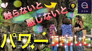 【無料版】●MTM Trip●　熱海編【第２章　樹齢2100年！？　パワースポット！？】