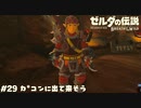 カ〇コンに着て出てた？【ゼルダの伝説BotW】 #29