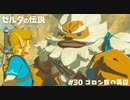 ゴロン族の英傑【ゼルダの伝説BotW】 #30