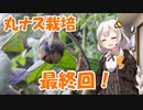 紲星農園「丸ナス編」Part6(Final)