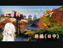 【Cevio車載？】京の紅葉狩りサイクリング【前編】