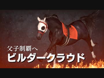 凱旋門デカスギ.WP9 2021 第45R(2006)