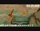ボブ お宝ばぷじだコロ！【ゼルダの伝説BotW】 #31