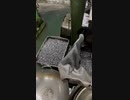 奥さん！これが欲しいでしょう！！「どうやって金を稼ぐなの？」生産実録　機械、理科、工具、中国製、ボルト、ねじ、ネジ