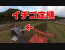 急に苺の苗が来たので