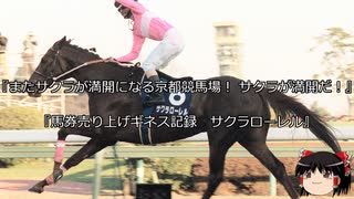 【競馬】ゆっくりさんと未来に語り継ぎたい名馬たち その055【ゆっくり朗読】