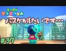 制作陣もグルだったｗ　「あつまれどうぶつの森+ハピパラ」　＃37