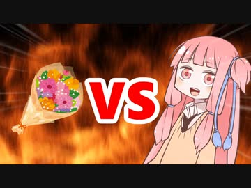 茜ちゃんVS花束