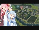 【A.I.VOICE】琴葉姉妹のはじめてのダムづくり！1【Timberborn】