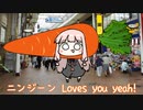 【SynthVカバー】ニンジーン Loves you yeah!【琴葉茜】