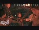 死へ#28【A Plague Tale: Innocence】