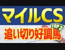 【マイルチャンピオンシップ】追い切りで抜群の動きを見せたのは“この３頭”だ！！【マイルCS2021予想】
