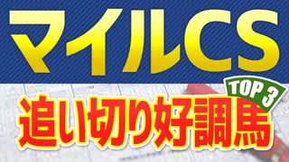 【マイルチャンピオンシップ】追い切りで抜群の動きを見せたのは“この３頭”だ！！【マイルCS2021予想】