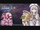 #25 軌跡好きの【那由多の軌跡：改】実況だよ