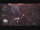 【ペア狩猟】コレ太刀がいる意味ある？w