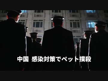 ▼コロナ禍でうつ病の患者数は2倍に▼日豪外相がテレビ会談▼中国当局が感染対策でペットを撲殺▼NBA選手が中国の臓器狩りを非難▼中国の若者の8割は子供を望まず
