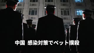 ▼コロナ禍でうつ病の患者数は2倍に▼日豪外相がテレビ会談▼中国当局が感染対策でペットを撲殺▼NBA選手が中国の臓器狩りを非難▼中国の若者の8割は子供を望まず