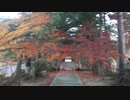 法蔵寺の紅葉を見ながら歩く
