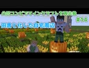 【マインクラフト】凸凹コンビでマインクラフトを再出発【LgLp】# 14