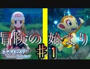 "ダイパ未プレイ"で始めるブリリアントダイヤモンド【ポケットモンスターブリリアントダイヤモンド】♯1