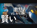 1117B①【賢いカラスVSアオサギ鳴き声】捕食コサギとカワセミ構造色、オスメス。スズメがヨシ原に群れる。ハシボソとハシブト。鶴見川水系恩田川でコンデジ野鳥撮影　#身近な生き物語　#アオサギ　#カラス