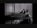 夜ごとの美女　Les belles des nuits