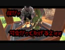 貴様その身体で払ってもらうケロなぁ【ゼルダの伝説スカイウォードソードHD 剣脚プレイ part20】