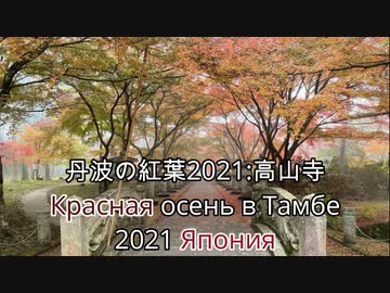 Осень в Тамбе, Япония 2021 丹波の紅葉・幻霧の高山寺 令和3年 Буддийский храм «Косандзи»