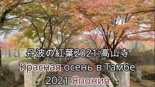 Осень в Тамбе, Япония 2021 丹波の紅葉・幻霧の高山寺 令和3年 Буддийский храм «Косандзи»